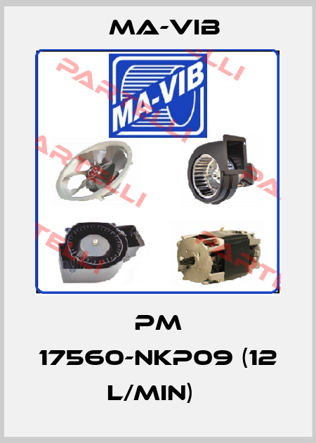 PM 17560-NKP09 (12 l/min)   MA-VIB