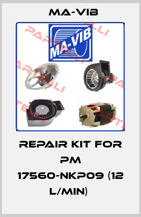 repair kit for PM 17560-NKP09 (12 l/min)  MA-VIB