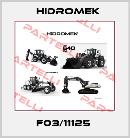 F03/11125  Hidromek