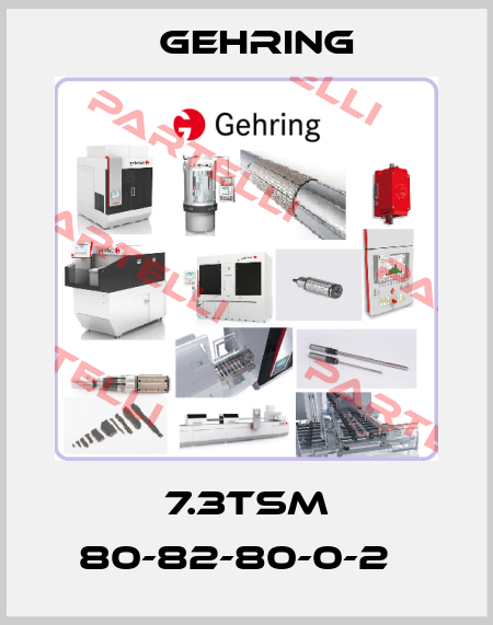 7.3TSM 80-82-80-0-2   Gehring
