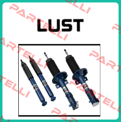 LSH-074-2-60-560/T1,P,S4,X OEM  Lust