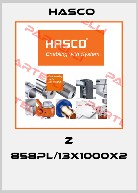 Z 858PL/13x1000x2  Hasco