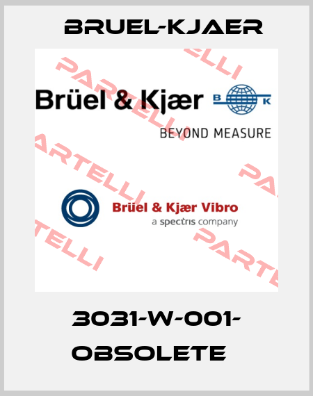 3031-W-001- obsolete   Bruel-Kjaer