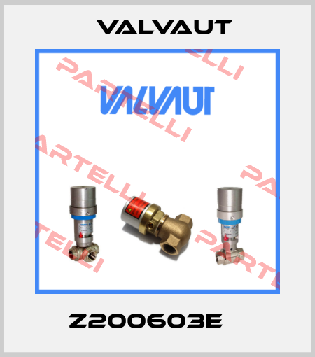  Z200603E    Valvaut
