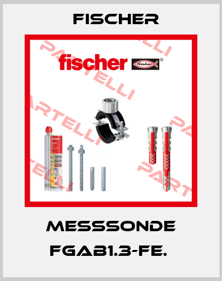 MESSSONDE FGAB1.3-Fe.  Fischer