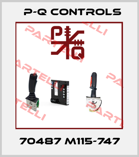 70487 M115-747 P-Q Controls