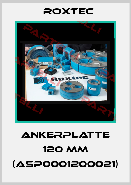 ANKERPLATTE 120 MM (ASP0001200021) Roxtec