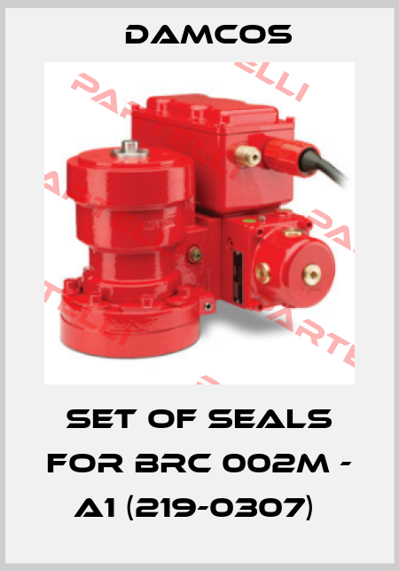 SET OF SEALS FOR BRC 002M - A1 (219-0307)  Damcos