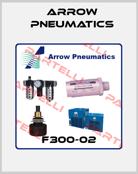 F300-02 Arrow Pneumatics