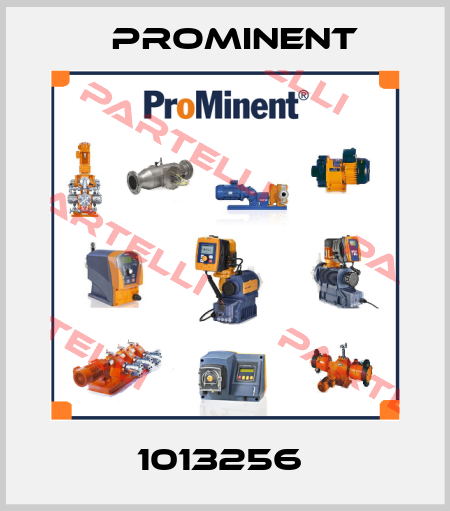 1013256  ProMinent