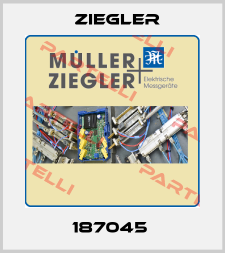 187045  Ziegler