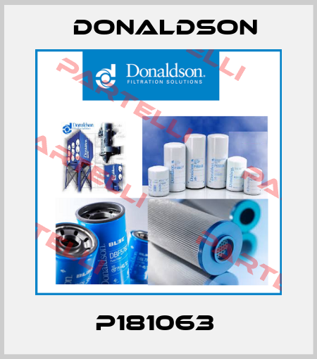 P181063  Donaldson