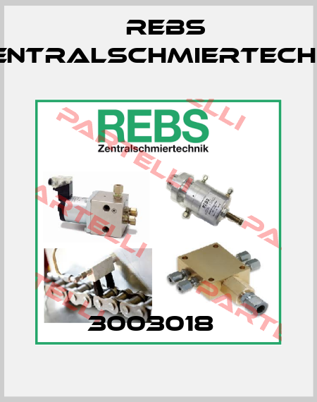 3003018   Rebs Zentralschmiertechnik