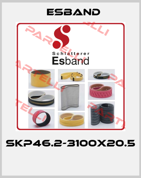SKP46.2-3100X20.5  Esband
