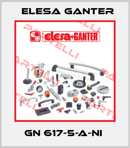GN 617-5-A-NI  Elesa Ganter