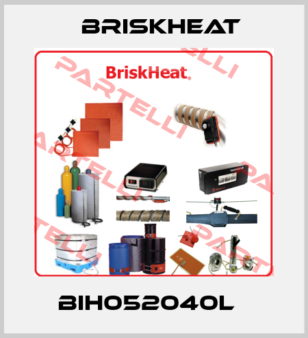 BIH052040L   BriskHeat