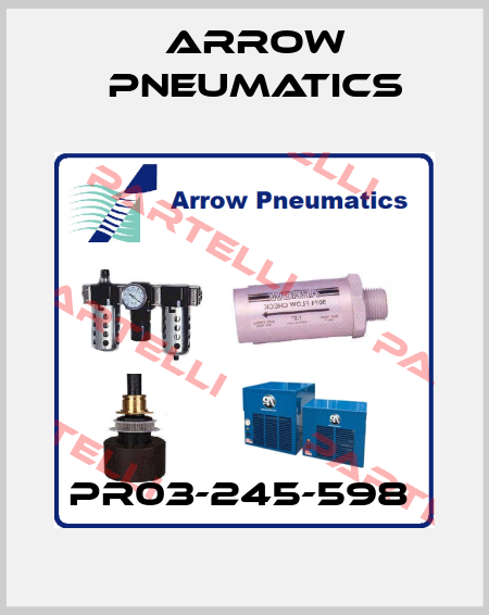 PR03-245-598  Arrow Pneumatics