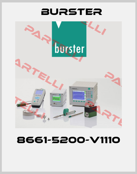 8661-5200-V1110  Burster