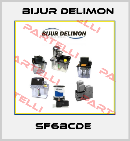 SF6BCDE  Bijur Delimon