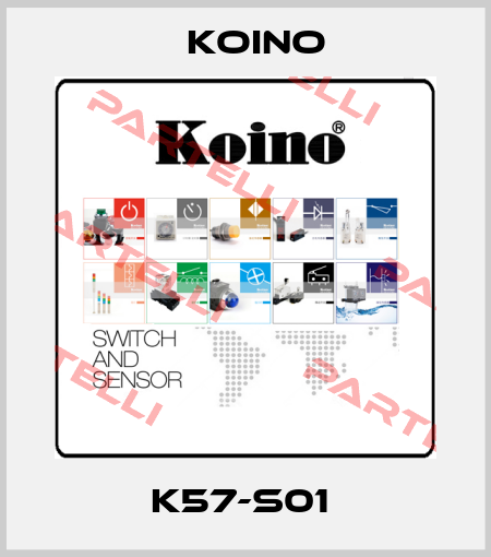 K57-S01  Koino