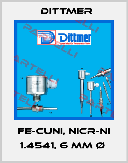 Fe-CuNi, NiCr-Ni 1.4541, 6 mm Ø  Dittmer