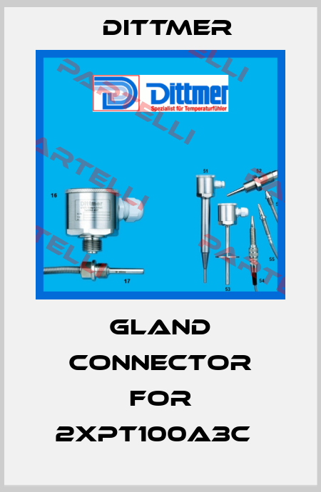 GLAND CONNECTOR FOR 2XPT100A3C   Dittmer