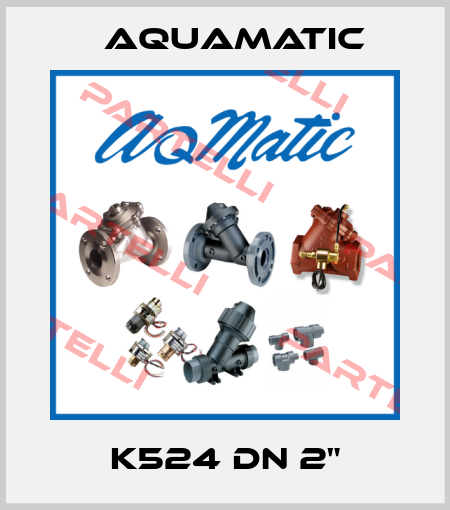 K524 DN 2" AquaMatic