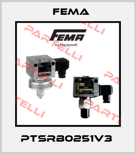 PTSRB0251V3  FEMA