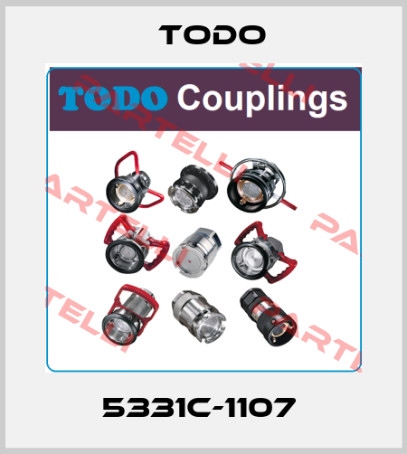 5331C-1107  Todo
