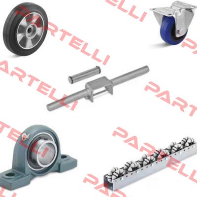 TRG50/10-25351-RL=1100 mm  Torwegge