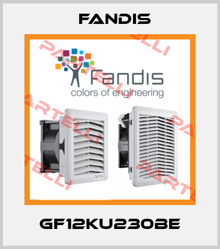 GF12KU230BE Fandis