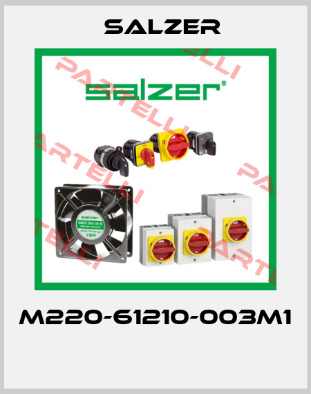 M220-61210-003M1  Salzer