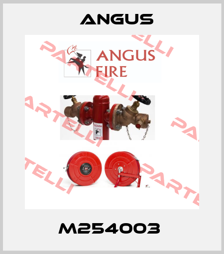 M254003  Angus