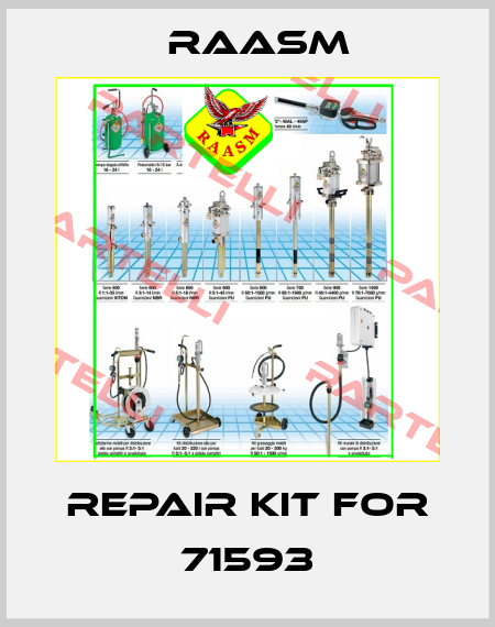 Repair kit for 71593 Raasm