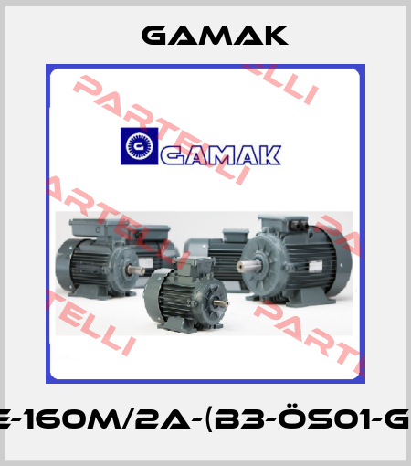 AGM2E-160M/2a-(B3-ÖS01-GAMAK) Gamak