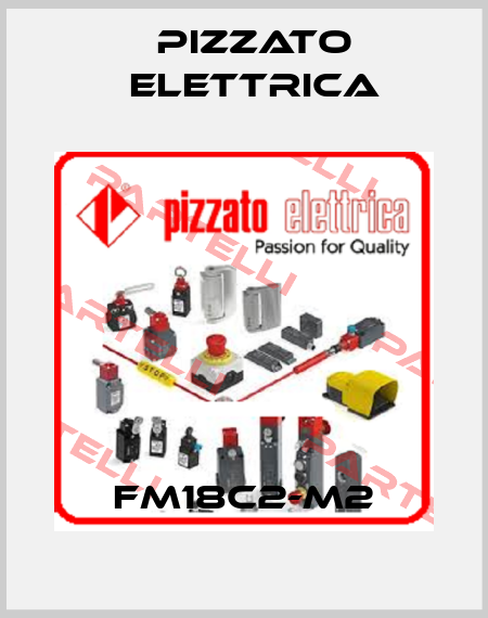 FM18C2-M2 Pizzato Elettrica