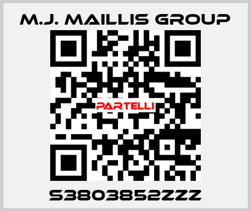 S3803852ZZZ M.J. MAILLIS GROUP