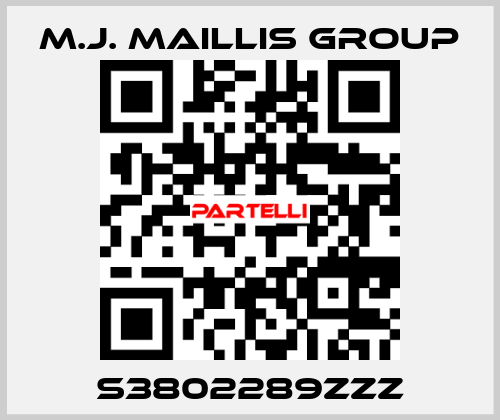 S3802289ZZZ M.J. MAILLIS GROUP