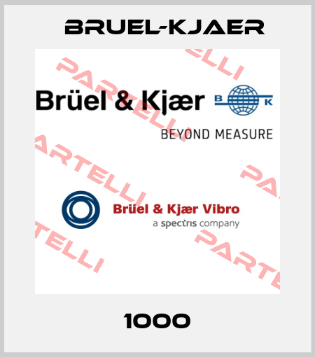 1000 Bruel-Kjaer
