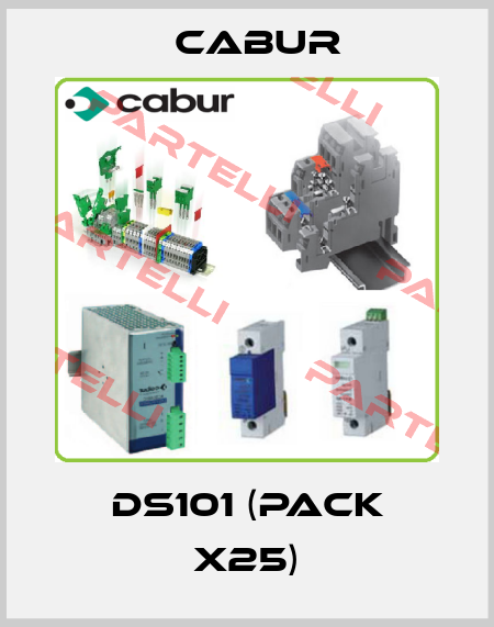 DS101 (pack x25) Cabur