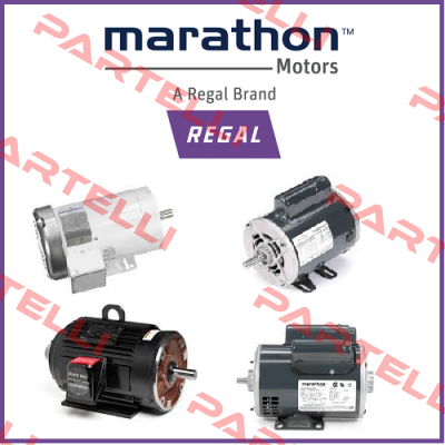 DMA280K4 (B3 foot mounted) Marathon (Regal)