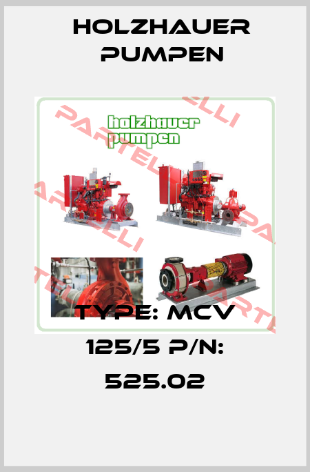 Type: MCV 125/5 P/N: 525.02 Holzhauer Pumpen
