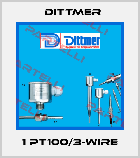 1 PT100/3-WIRE Dittmer