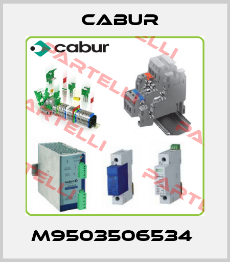 M9503506534  Cabur