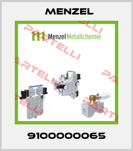 9100000065 Menzel