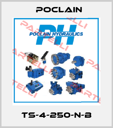 TS-4-250-N-B Poclain