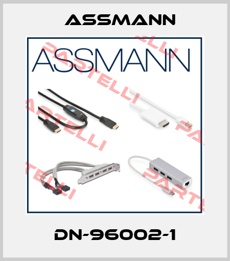 DN-96002-1 Assmann