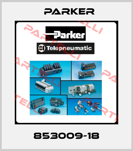 853009-18 Parker