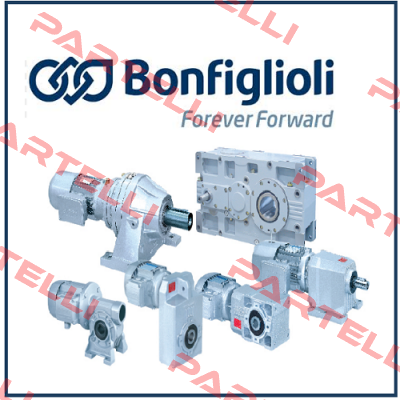 MAS 16 F RATIO 1/18,89 Bonfiglioli