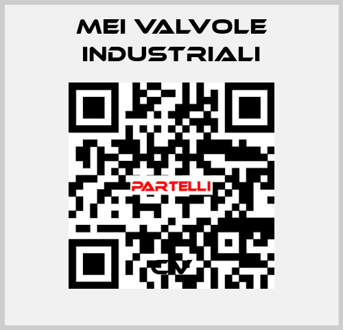 CV MEI VALVOLE INDUSTRIALI